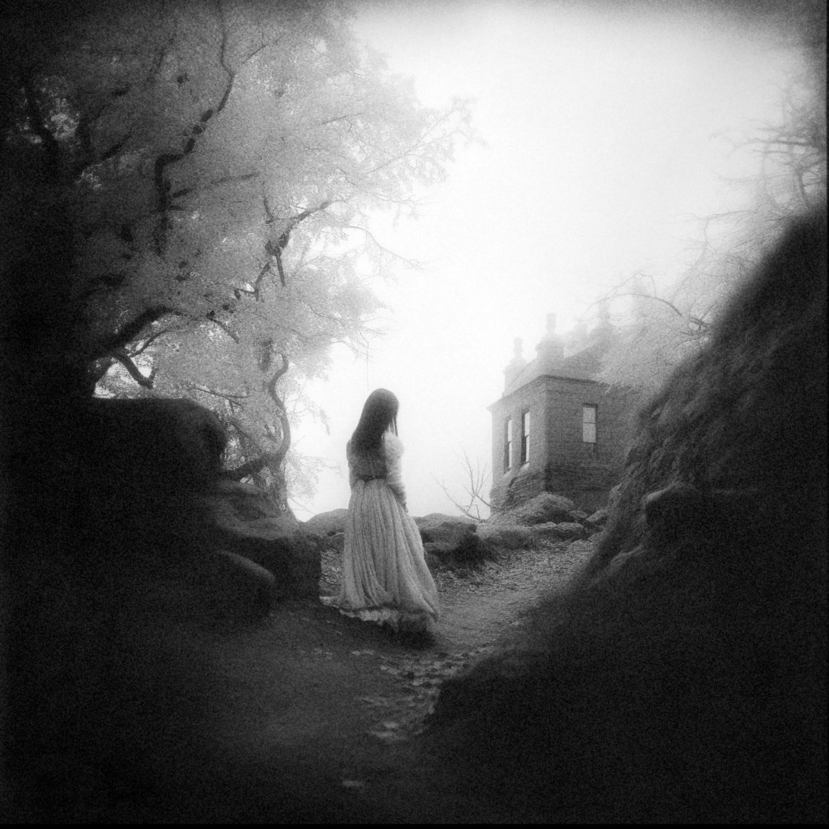 viewfromgrave's tweet photo. Haunting Wonder
+
Fine Art Prints available: https://t.co/C1g6iKj1sQ
+
#melancholy #haunting #ghost #soul #goth #lostsoul #monochrome #spleen #hauntedplace #photooftheday #greatshots #bw #silhouette #nature #blackandwhitephotography #infraredphoto #irphoto #infrared #captures https://t.co/9XCRh6tSUb