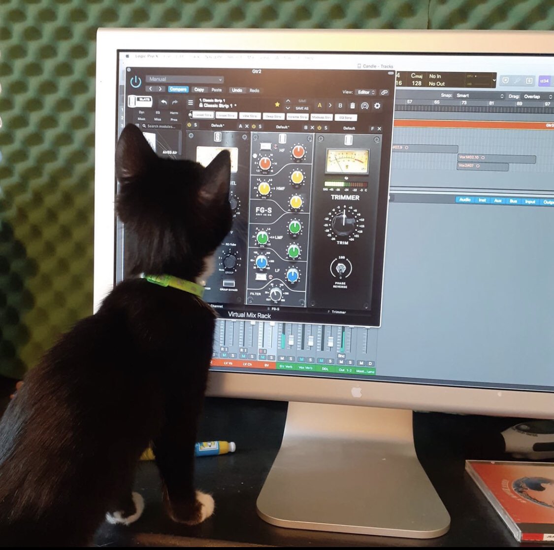 Caption this 😹 Thanks to Daniel Davis on Facebook for this purrfect snap of the VMR 🎛😸