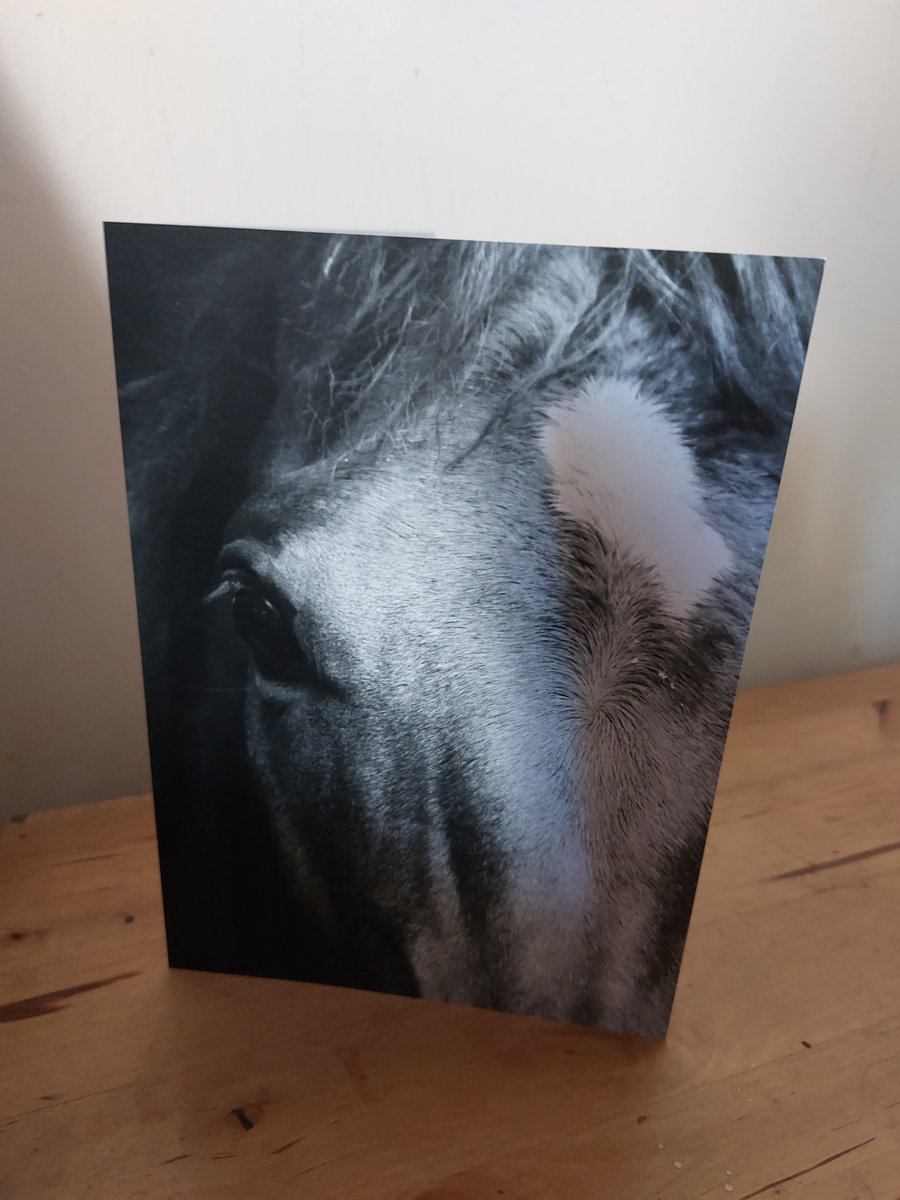 RuthvanZalinge's tweet photo. Thank you for the fab card @Racingwelfare. I really enjoy doing my little bit! #VolunteersWeek2023 #volunt https://t.co/pVgQSzuoY6