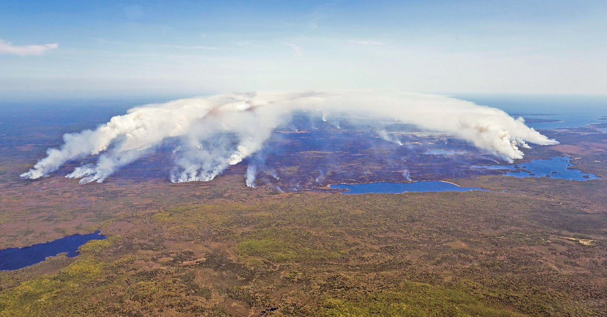 🔥 La série noire continue au Canada🇨🇦, où la province de la #NouvelleÉcosse connaît le pire #FeuxDeForêt de son histoire.

🌳 1️⃣8️⃣ 1️⃣7️⃣3️⃣ hectares ont été brûlés.

🏚 Au moins 5️⃣0️⃣structures ont été détruites.

🏡 Plus de 5️⃣ 0️⃣0️⃣0️⃣ personnes sont évacuées.

#Wildfire #Incendies