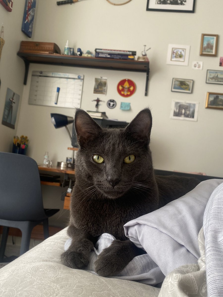 grandbaby of a mooja man tweet media