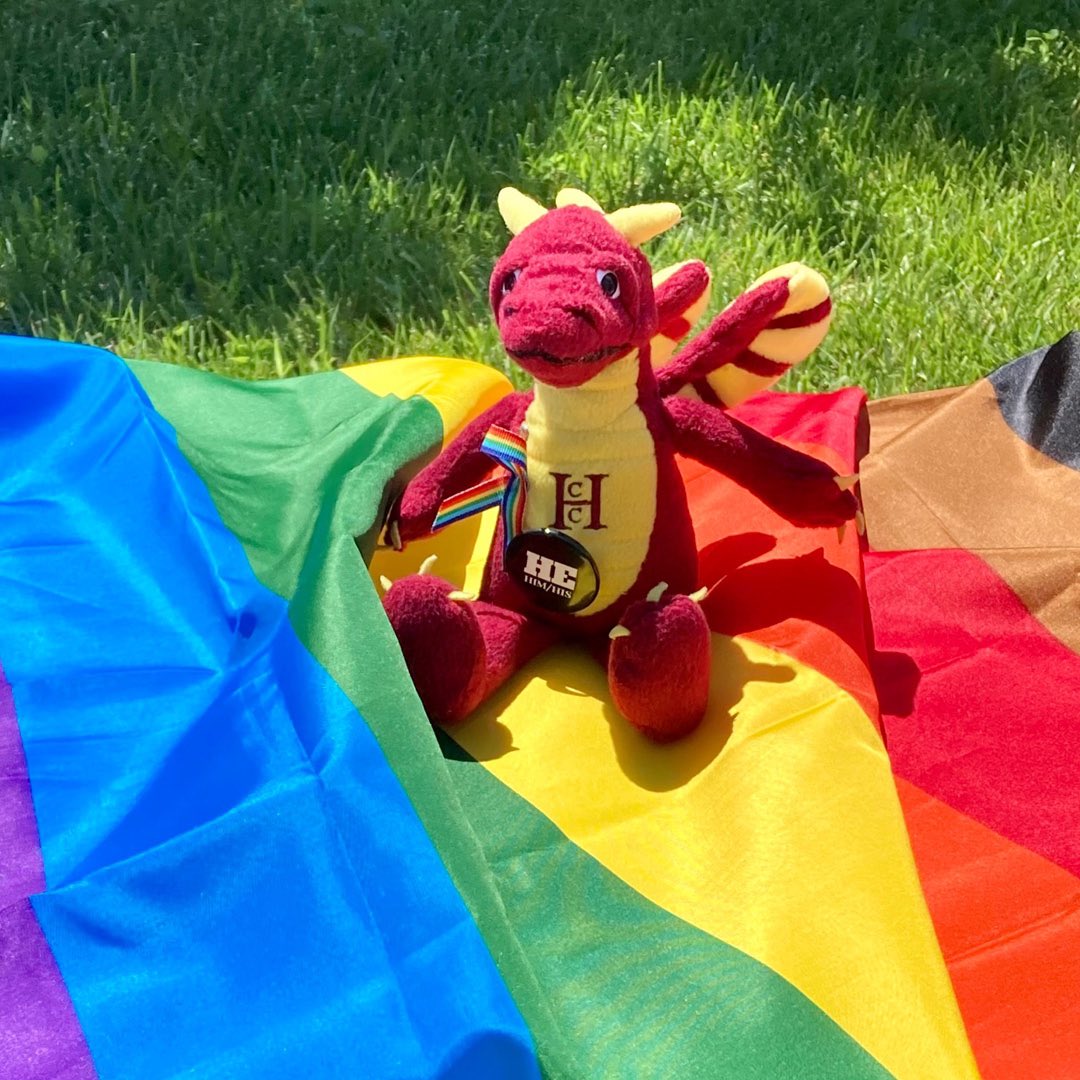 HowardCCWCCE's tweet photo. Howard Community College wishes our entire campus community a happy LGBTQ+ Pride Month!  🏳️‍⚧️🏳️‍🌈❤️🧡💛💚💙💜🤎🖤 https://t.co/y6SwCydAoh