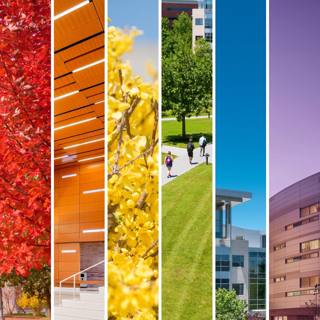 HowardCCWCCE's tweet photo. Howard Community College wishes our entire campus community a happy LGBTQ+ Pride Month!  🏳️‍⚧️🏳️‍🌈❤️🧡💛💚💙💜🤎🖤 https://t.co/y6SwCydAoh