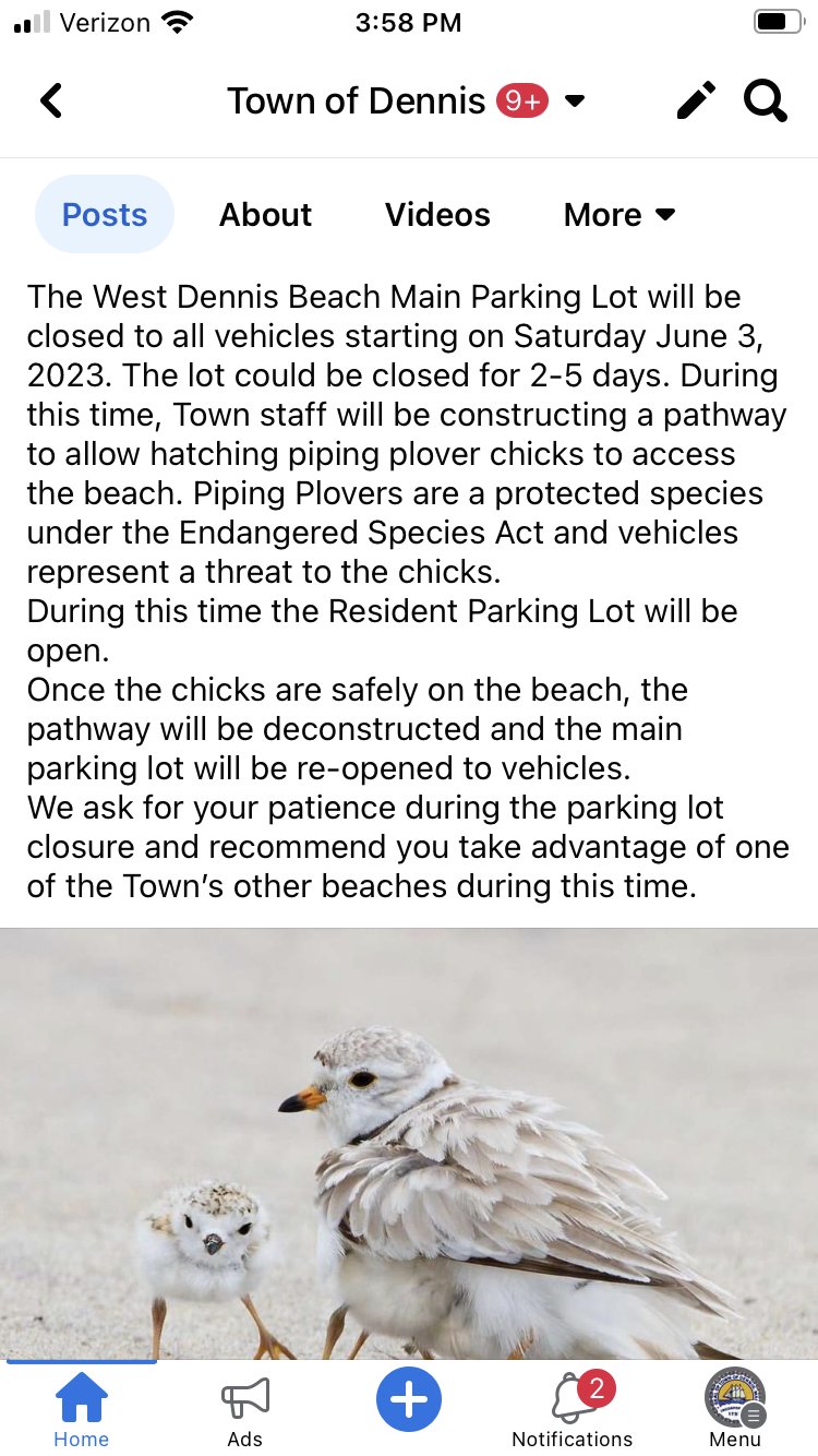 Town of Dennis (TownofDennis) / Twitter