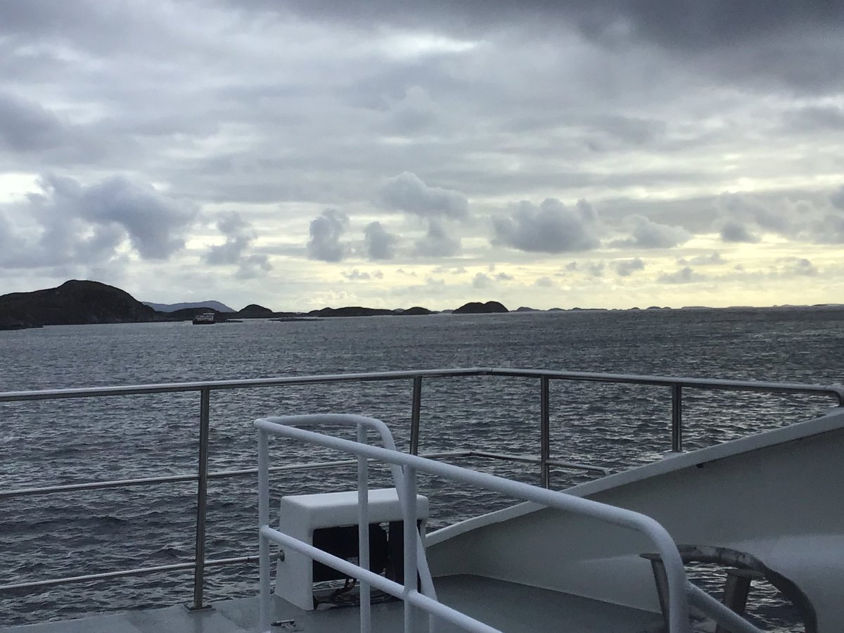 Feyenoor tweet media