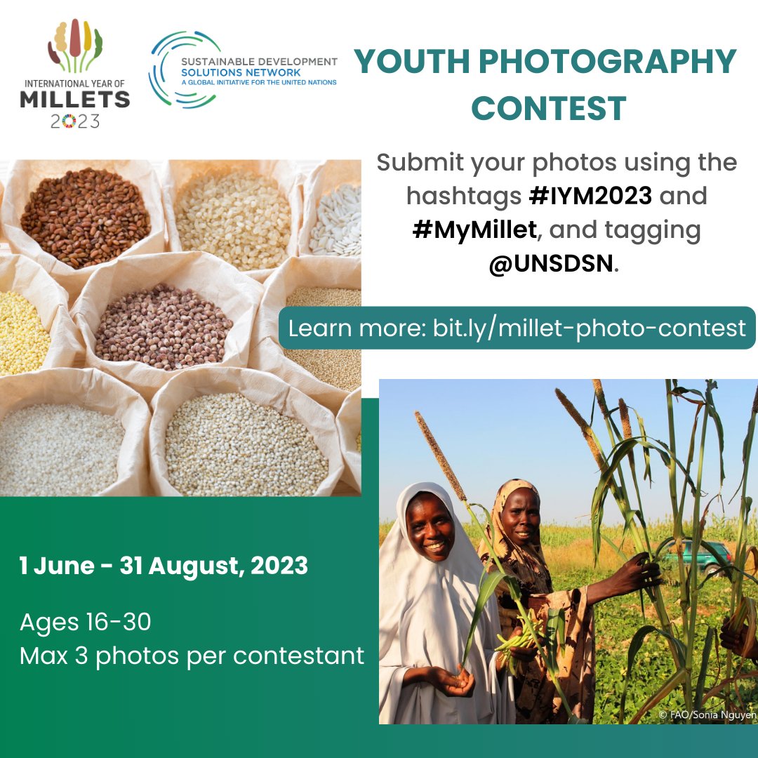 📣 Calling global #youth! Submit your photos of #millet for IYM2023 for the chance to be on the cover of SDSN’s millet cookbook!

Post your pics with hashtags #IYM2023 and #MyMillet, and tag @UNSDSN on Twitter and Instagram 🤳

Join the contest! ➡️ bit.ly/3qs8ENu