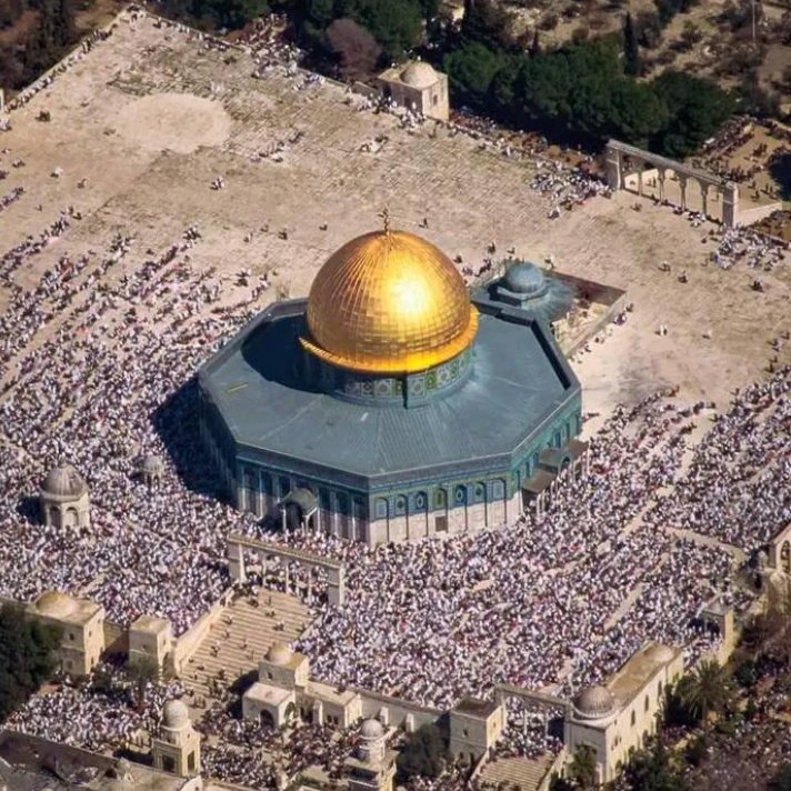 BanTmd's tweet image. #صورة_ملف_شخصي_جديدة