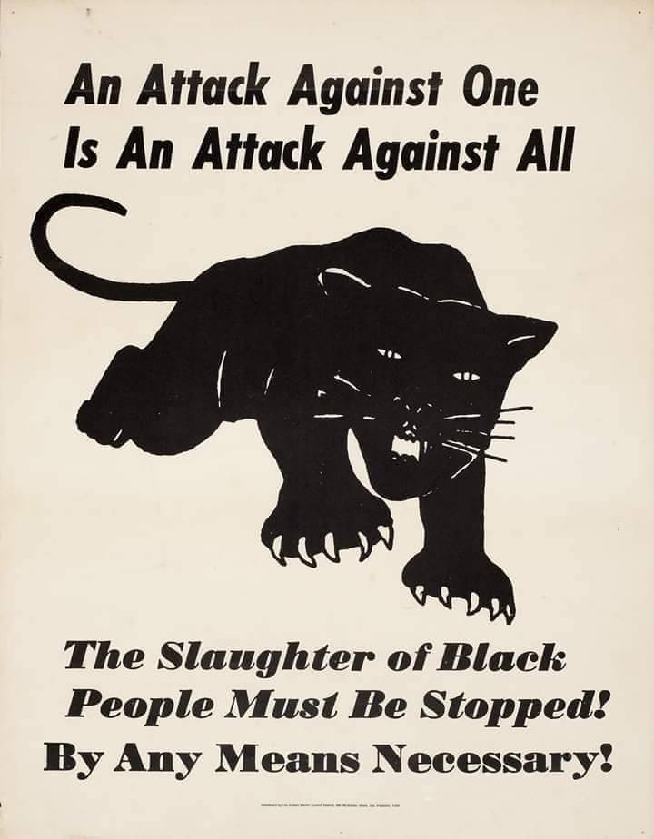 All Power to the People! ✊🏾

#BlackPantherPartyForSelfDefense