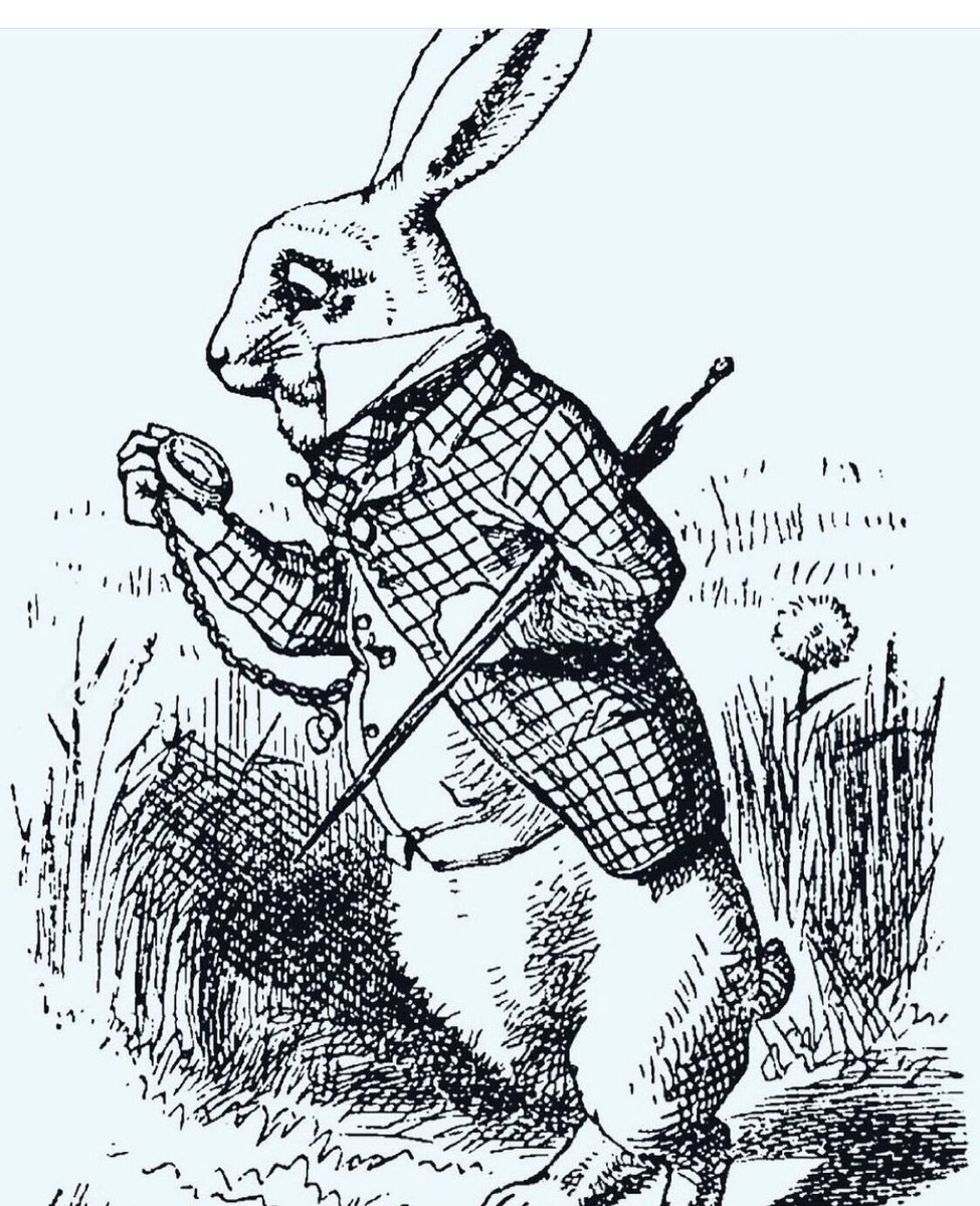 Alice Hicks Roach tweet media