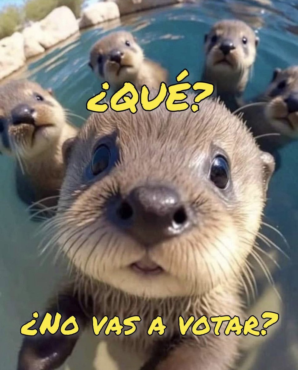 #votAle #OlaBlanca #JuntosSomosFuertes. Hagamos nuestra tarea, por los más vulnerables, y por los que no tienen voz… los animales  @MarthaluzCadena @LauraMex @JJDiazMachuca