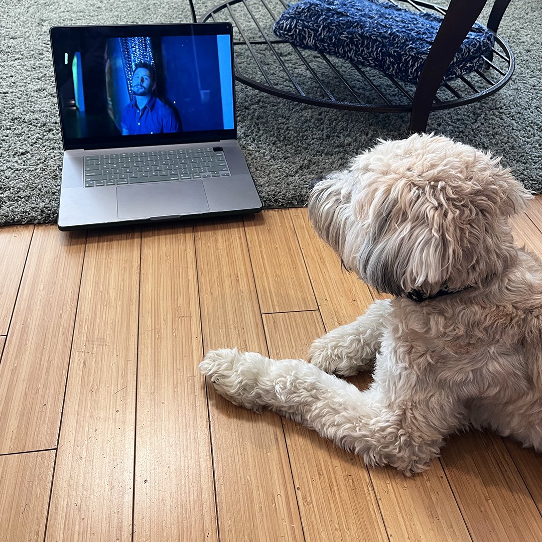 Someone is looking forward to Songwriter's Night this Sunday 🪩 ✨ Not only did we catch Margot working on her mood board, but she was also seen watching <a href="/chrishousman/">Chris Housman</a>'s music video for 'Drag Queen' on repeat. 

There is still time to grab your tickets! buff.ly/3vAhlWt