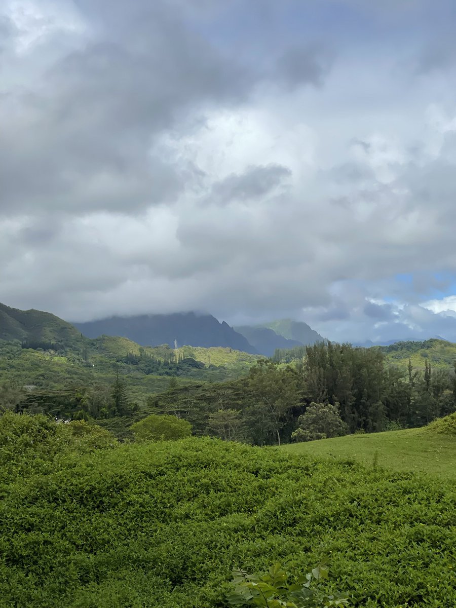 Bo Cornish tweet media