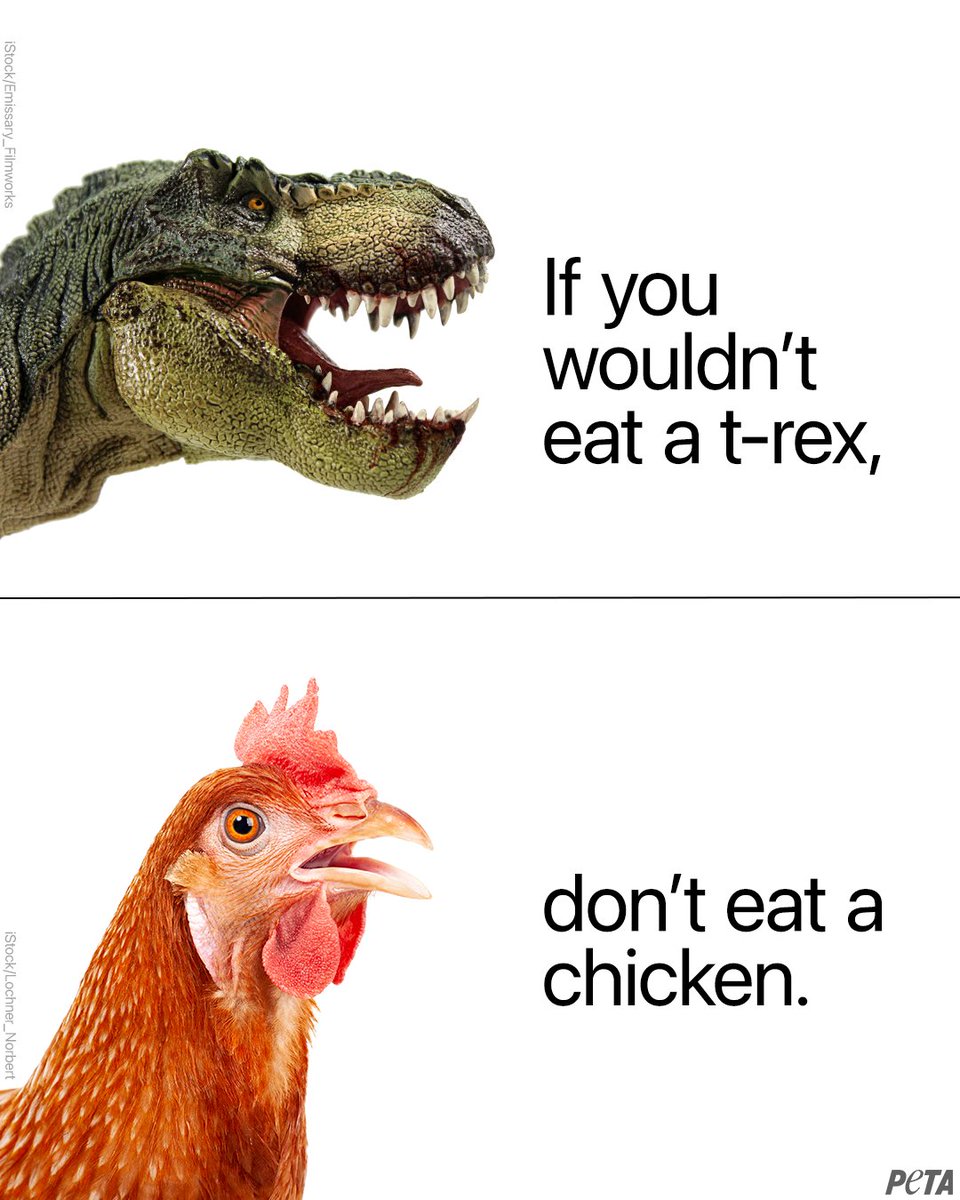 Think twice before ordering that chicken sandwich... T-Rexes wouldn't approve of you eating their descendants 👉 bit.ly/trexkintochick… #DinosaurDay