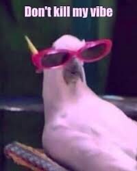 Что пишут Яндекс.Карты:
- Оставьте отзыв!
Что вижу я:
- Вы популярны!