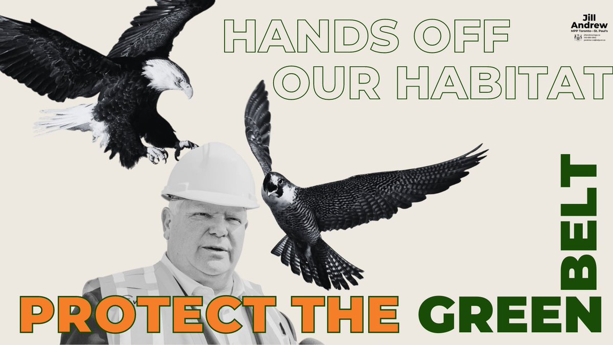 It's #WorldEnvironmentDay and we need to take URGENT ACTION to ensure the future of our planet & all its inhabitants - that means advocating for our nonhuman neighbours!🦅 My message for Ford: HANDS OFF OUR HABITAT! PROTECT THE GREEN BELT! #ONPoli #Greenbelt #ONGreenbelt