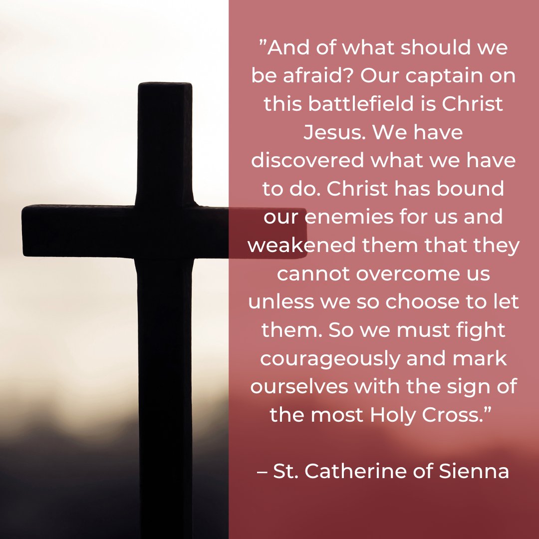 ”And of what should we be afraid? Our captain on this battlefield is Christ Jesus.” – St. Catherine of Sienna

#DMU #DivineMercyUniversity #QuoteoftheDay #Quotes #SaintQuotes #SaintCatherineofSienna #CatholicQuote #CatholicChurch #CatholicUniversity
