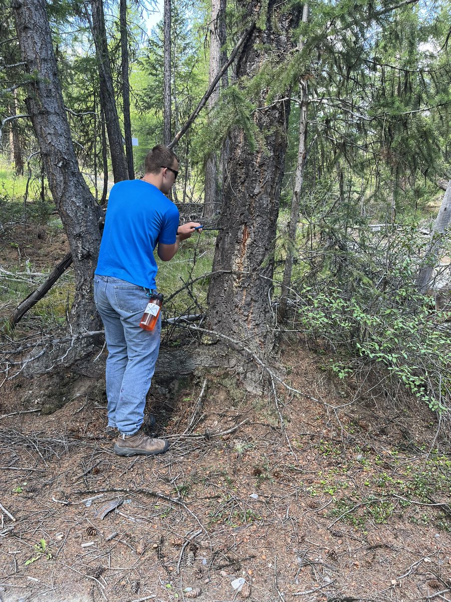 Shashi Shergill tweet media