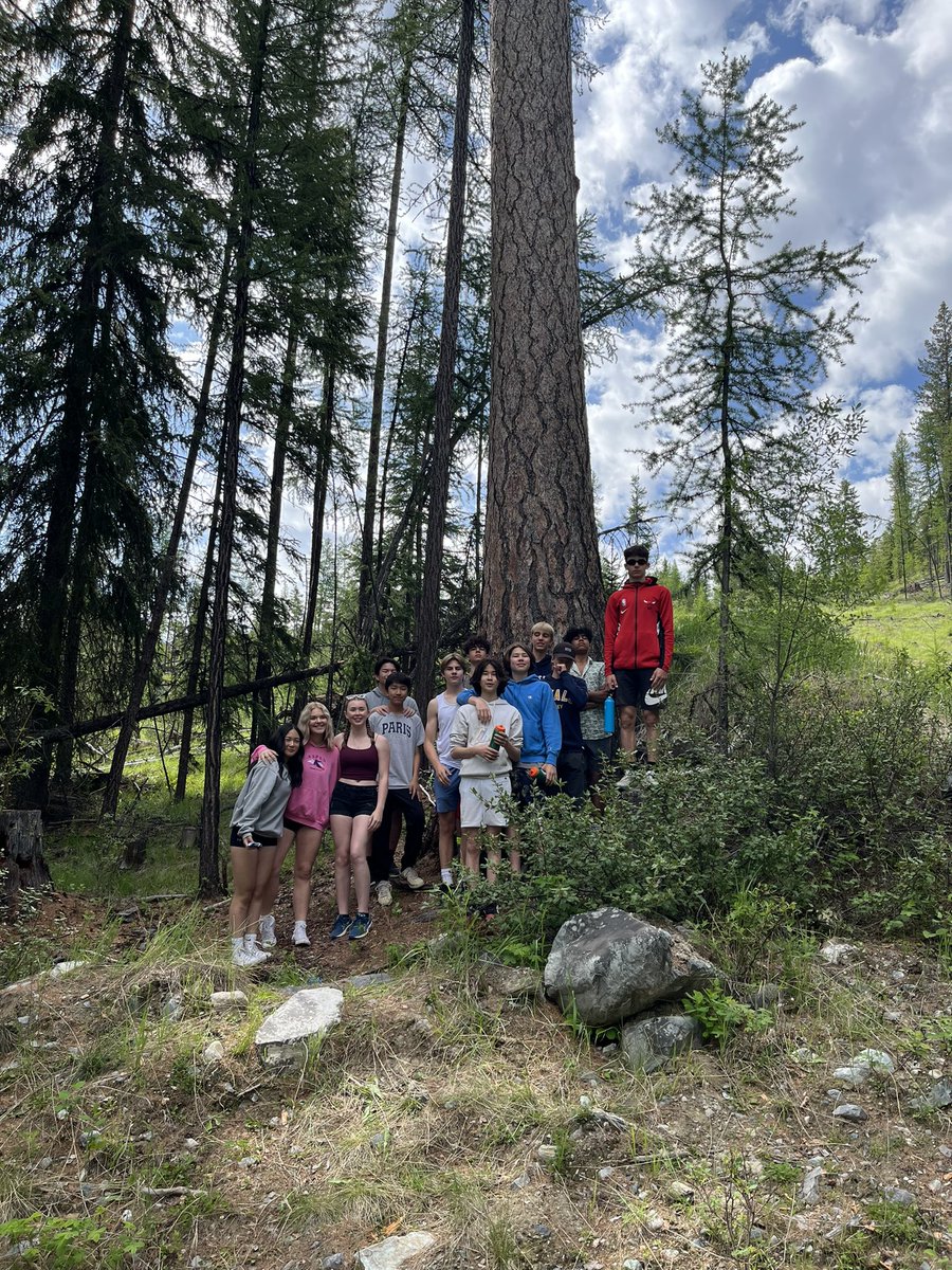 Shashi Shergill tweet media