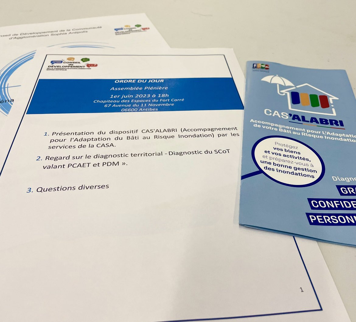 marika roman tweet media