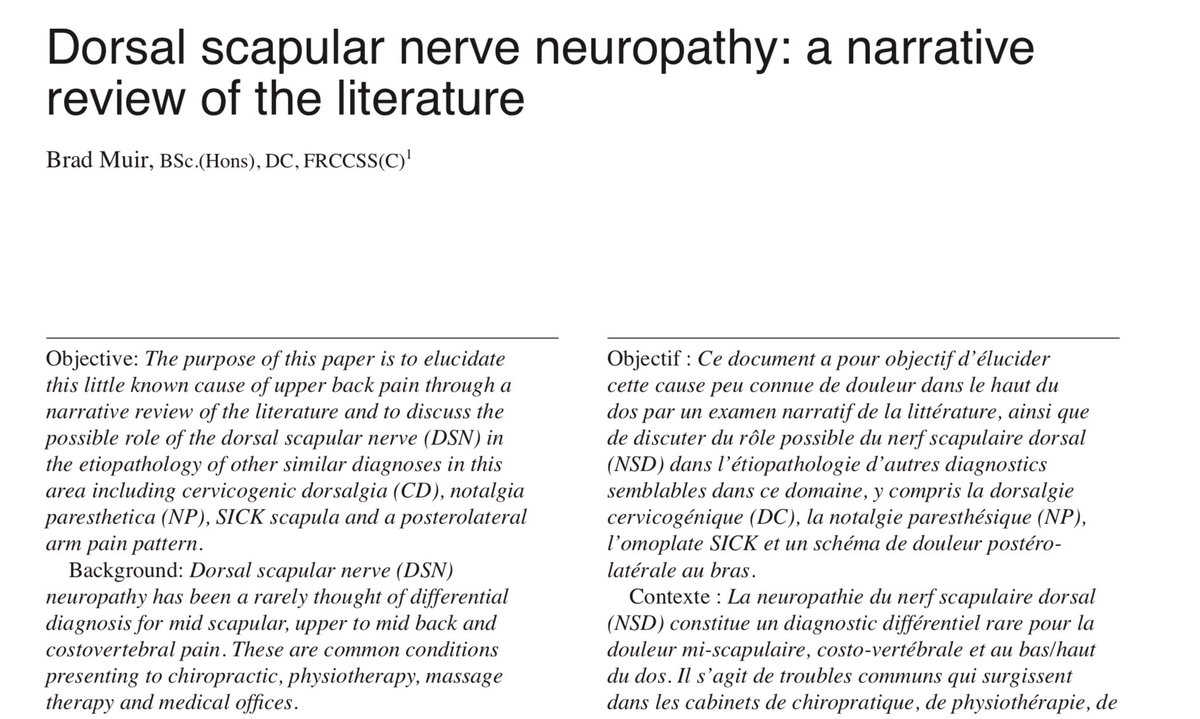 ɹǝʇlnoԀ pıʌɐᗡ 🚴🏻 🇺🇸 🇦🇺 🇬🇧 tweet media