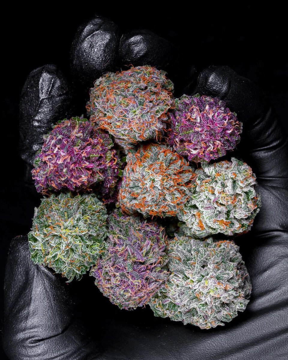 Let’s play a game. 

Is this a real photo ?! 

Do you want to learn more about cannabis terpenes and flavonoids ?!