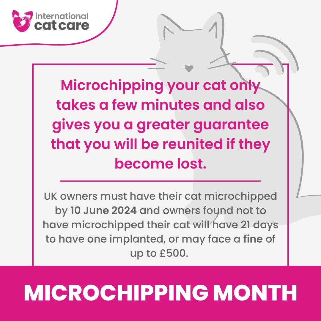 iCatCare's tweet photo. 🛜 Microchipping your cat can help you be reunited if they become lost. Ask your vet about it. In the UK, microchipping your cat will be required by 10 June 2024. Owners could face a fine of £500 if they don’t 🙀

REMEMBER, keep details updated ❗️
More 👉 https://t.co/8fjX13y1m7 https://t.co/g2xvZMoWga