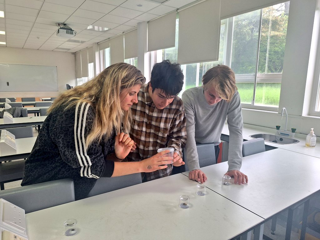PoppyHarding's tweet photo. Fantastic first few days of the undergraduate #ecology #fieldcourse! Botanical identifications, #beekeeping, farm-management, terrestrial and aquatic #invertebrates, and much more. Bring on the next few days! #fieldworkthursday #studyecology @HertsGEP https://t.co/KFaTEMSqfc