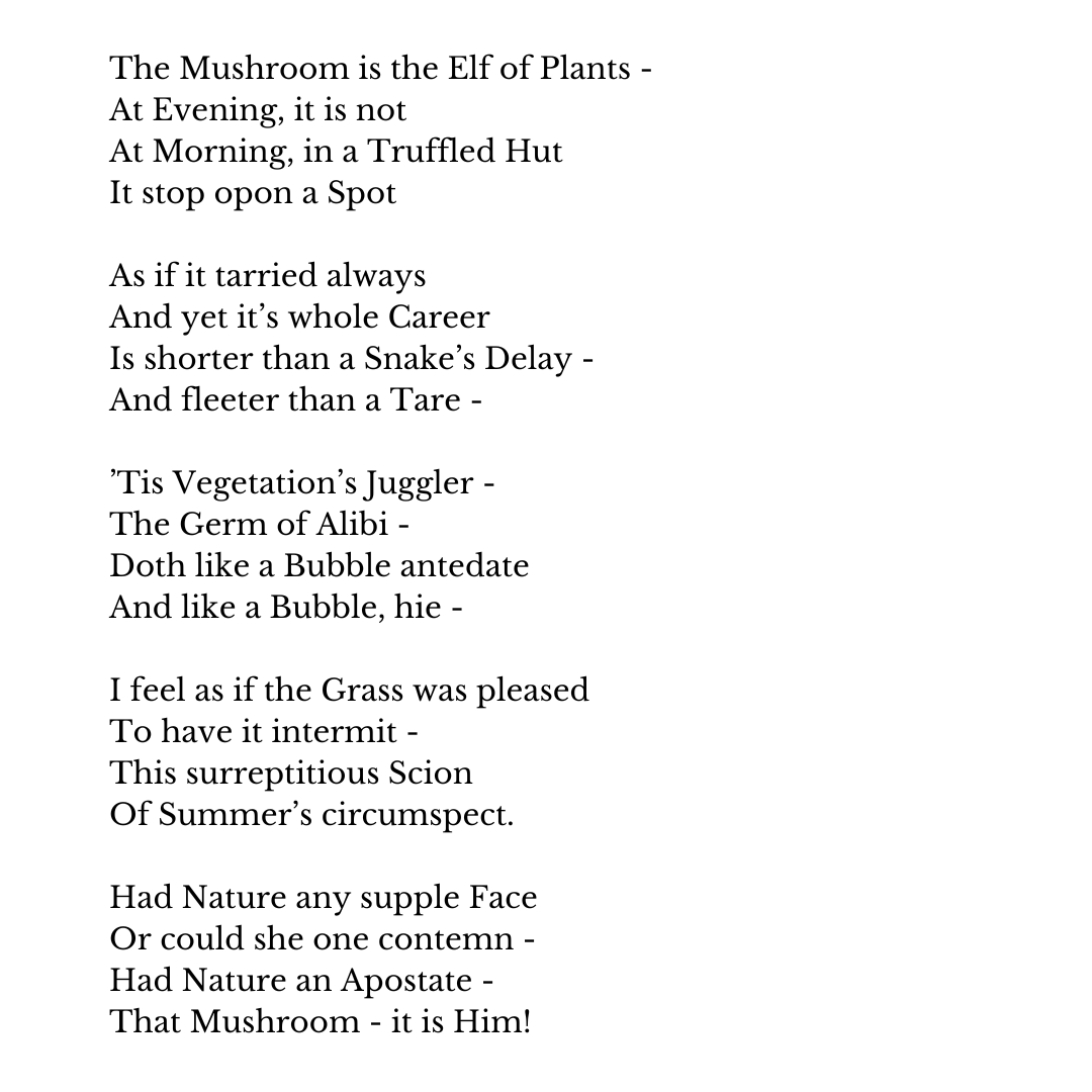 Emily Dickinson Museum (@dickinsonmuseum) on Twitter photo 