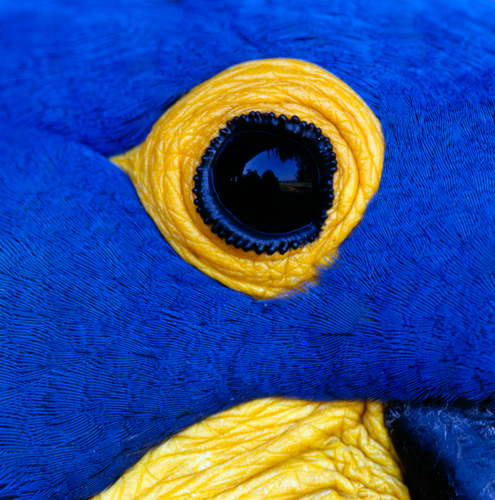 LWE_Hub's tweet photo. Learn the art of macro photography from renowned photographer Heather Angel!
With Heather's guidance, you'll develop an eye for beauty and design in even the smallest of subjects.
https://t.co/kfqYXzRCOz
@angelantics #learningwithexperts #photography #macro #macrophotography https://t.co/eput6wkRed