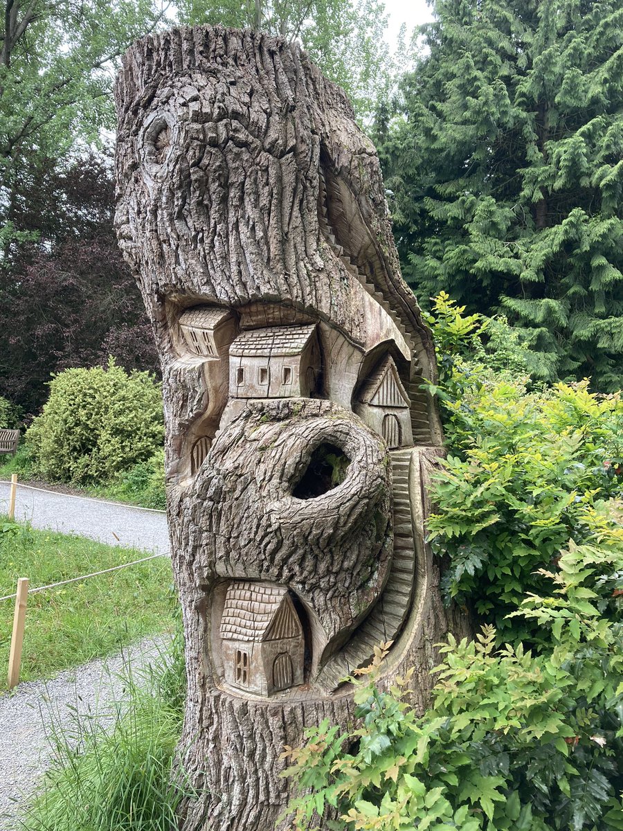 It's June, which means the start of #30DaysWild! The @WildlifeTrusts annual challenge that invites us to connect with nature every day this month - no matter how big or small the activity. I enjoyed a brilliant day at #ThorpePerrow near #Masham #WilderFuture