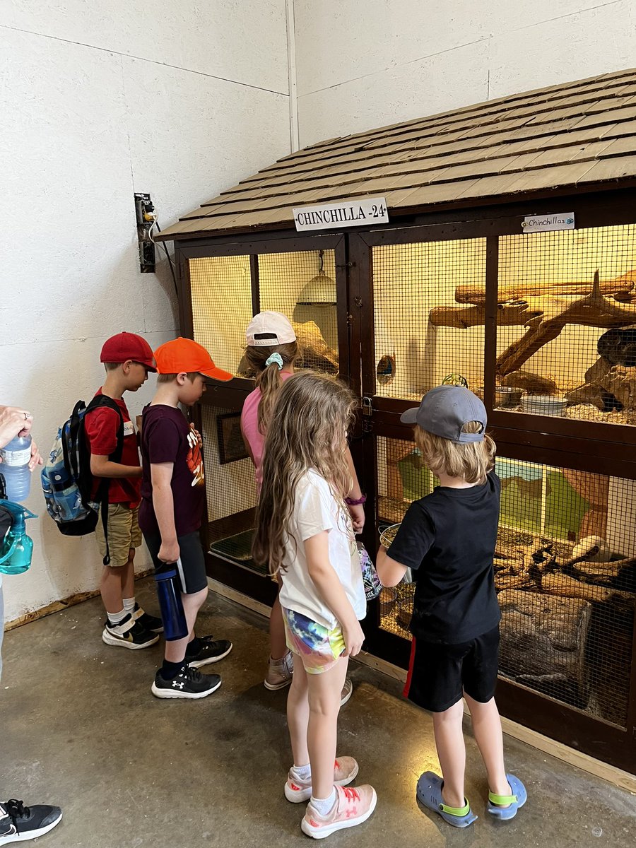 Had our field trip at <a href="/GreenviewZoo/">Greenview Aviaries</a> today! Kids had a blast feeding the animals, getting soaked at the splash pad and playing in the sun. <a href="/Straffordville/">StraffordvillePS</a>