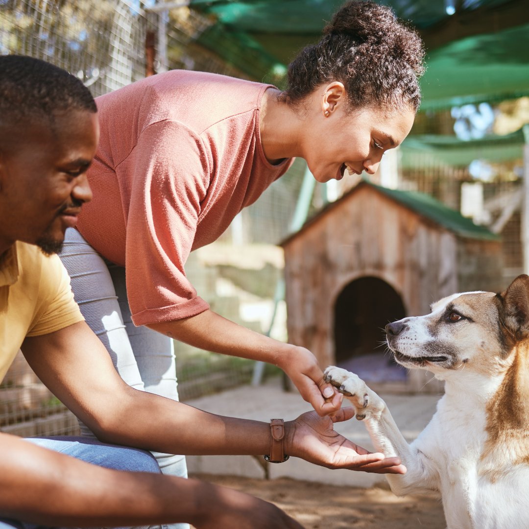 June is #NationalFosterAPetMonth - which is the perfect excuse to welcome a new four-legged friend into your home.

Remember, if 2% of US pet households fostered one pet a year, shelter euthanasia would end. ❤️🐾