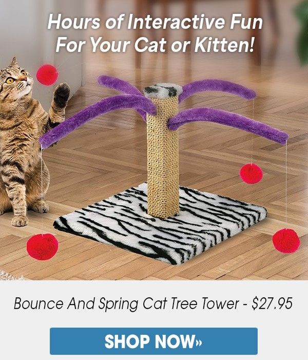 Paws-itively purrfect finds for cat lovers.
Shop Now: bit.ly/3N49n0d