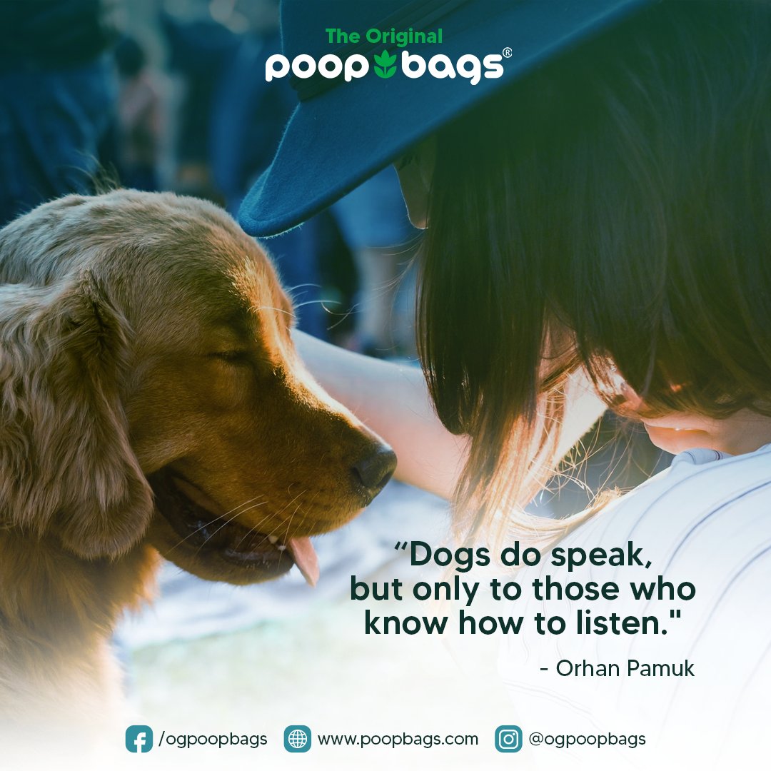 Do you agree that dogs express their souls with silent words, but the ones who truly listen hear volumes? 🐶🔍

#poopbags #theoriginalpoopbags #dogloversunite #dogsofinstagram #furparents #doglover #dogdaily  #doglovers #dogquotes #dogfriendly #dogfacts