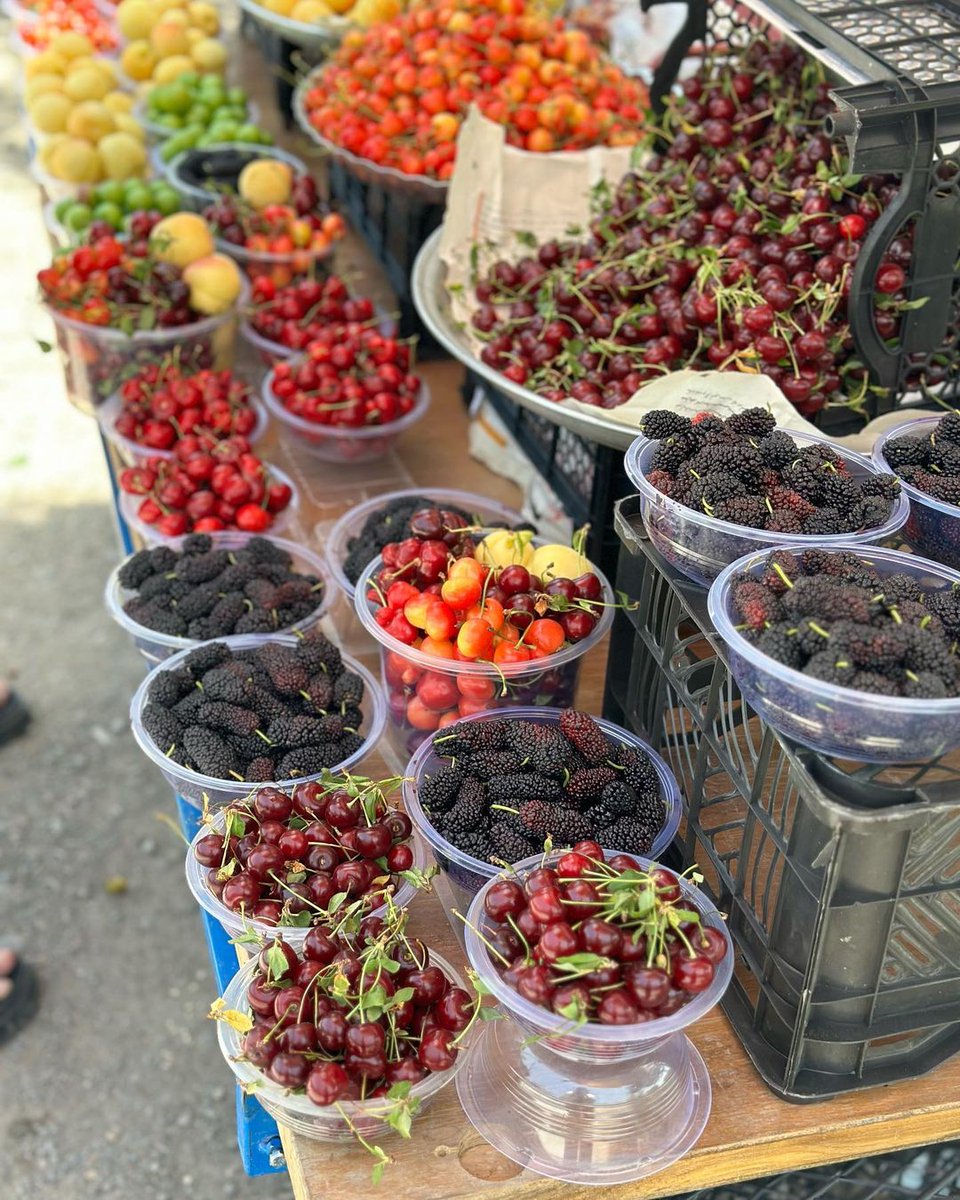 Juicy and sweet, these summer fruits from Iran are a divine delight!
#Iraniannature #Iran #fruit #summerfruit #summer