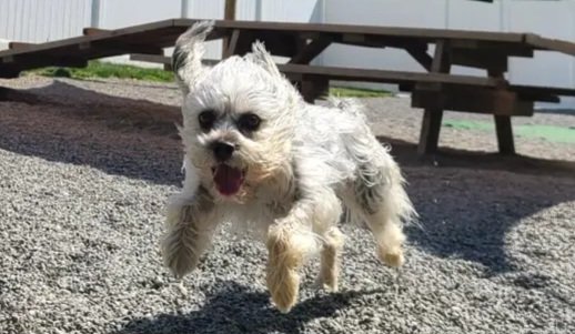 So fast run run run