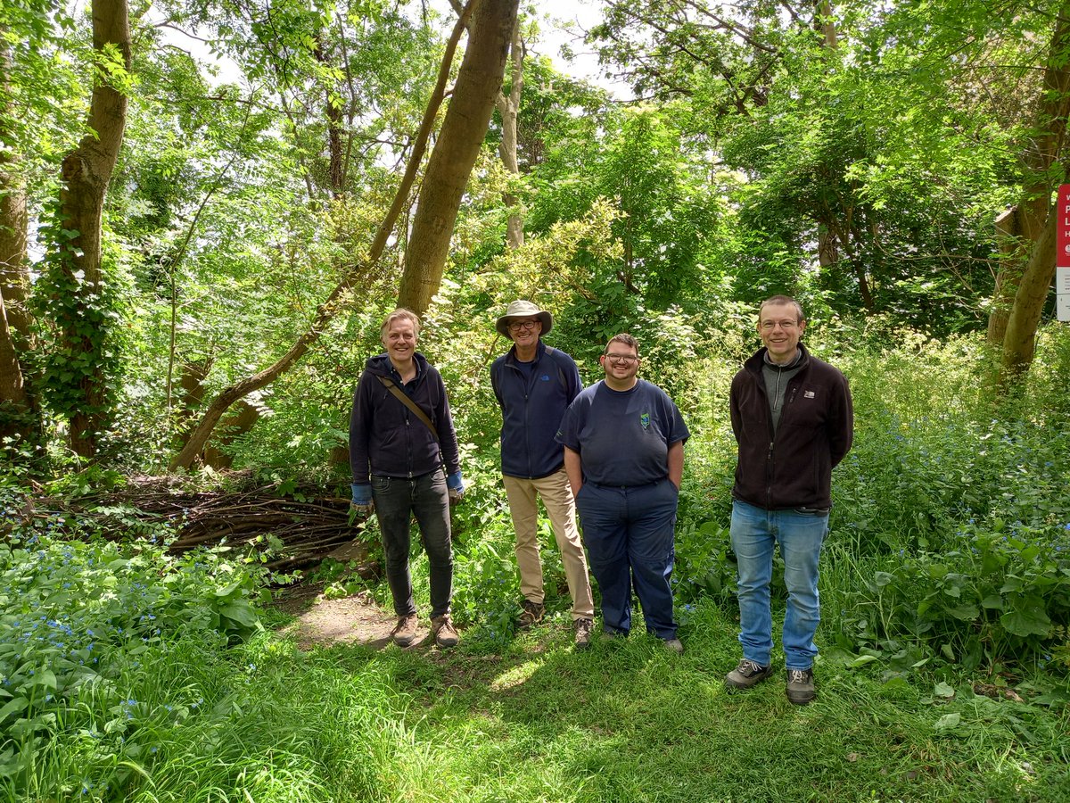 TCVHaringey's tweet photo. Beautiful ☀️ #parklandwalk with fab #thursday vols creating deadhedges! These amazing structures are a deadwood #habitat, that protect fragile #groundflora 🌼 from trampling, reduce soil erosion &amp; compaction, prevent undergrowth disturbance - very important in nesting season! 🐣 https://t.co/zTnz6Cfi9V