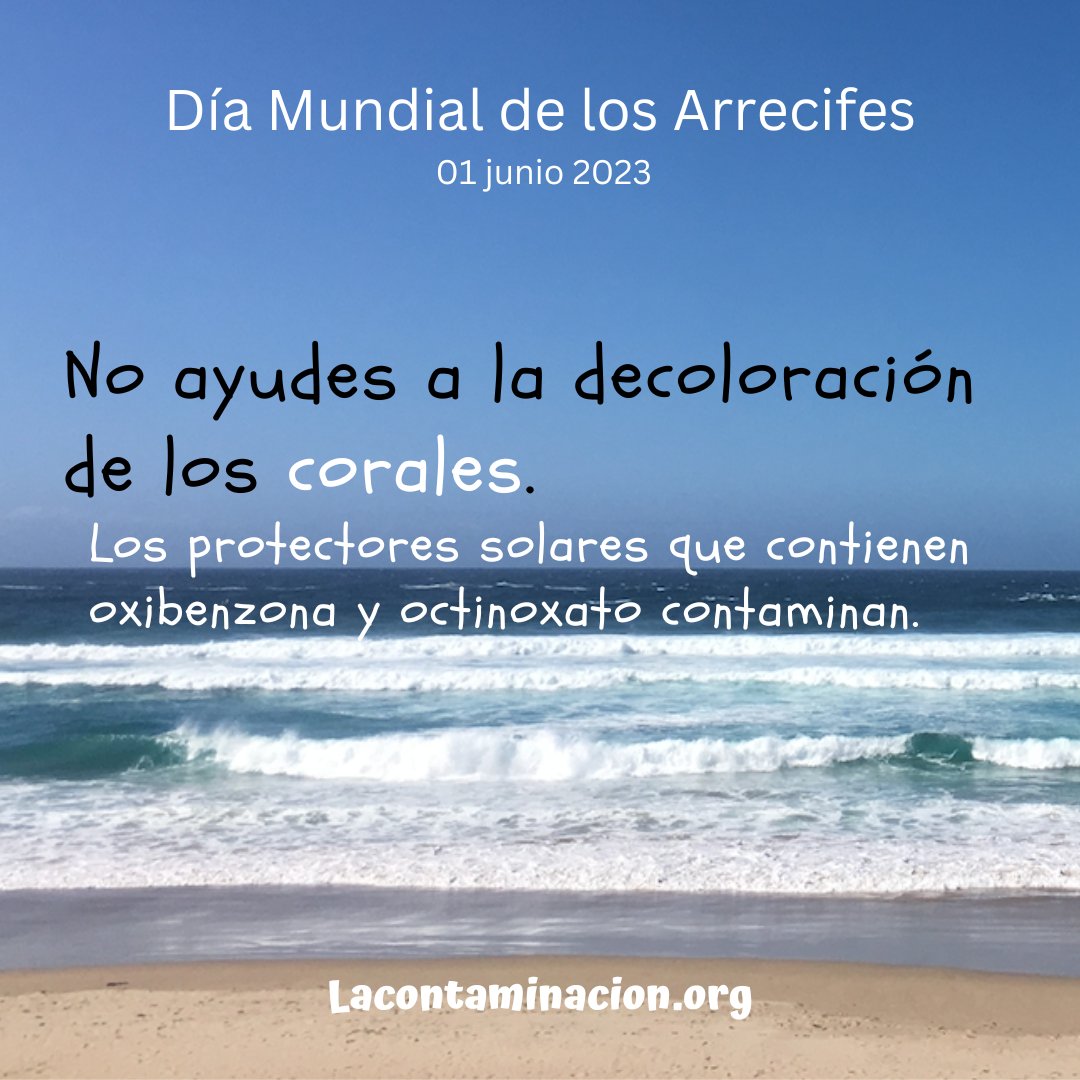 La #contaminación es uno de los principales problemas que afectan a ls #coralesmarinos,también la sobrepesca. Los corales son vitales para nuestra #vida.Recuerda evitar el #plástico, no compres souvenirs hechos con corales. Ayudemos en todo momento a revertir su desaparición