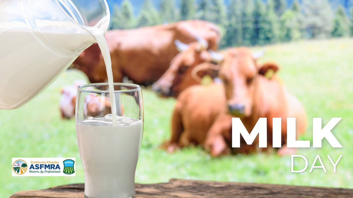 In the 1600's we humans figured out a way to make a glass of milk better with the invention of ice cream!!

#calasfmra #asfmra #milkday #WorldMilkDay #milkfacts #icecream #dairyfarmer #dairycows #ilovemilk #thankafarmer