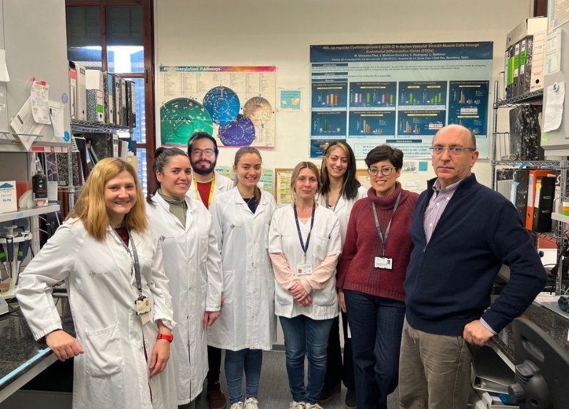 IRSantPau's tweet photo. Nova estratègia terapèutica per al tractament de l'#aneurisma d'aorta abdominal.

⚙ Resultats d'un estudi liderat per Maria Galán Arroyo, investigadora #IIBSantPau i @urjc, i Cristina Rodríguez, investigadora #IIBSantPau

Més ℹ i article de referència: 
https://t.co/ZC0ReoQjRN https://t.co/oQZPLshRYW