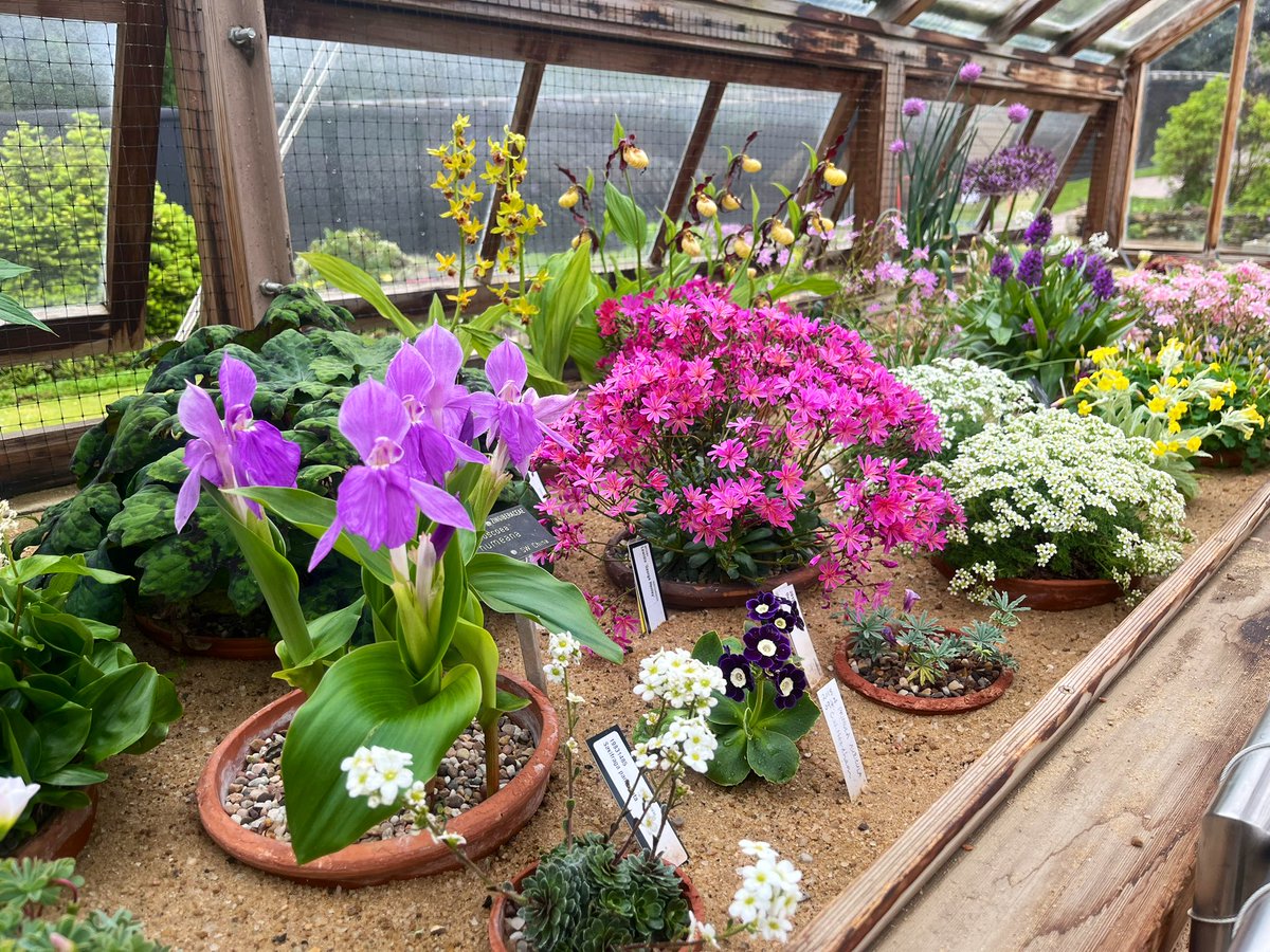 Refresh of plants in the alpine display house @TheBotanics
