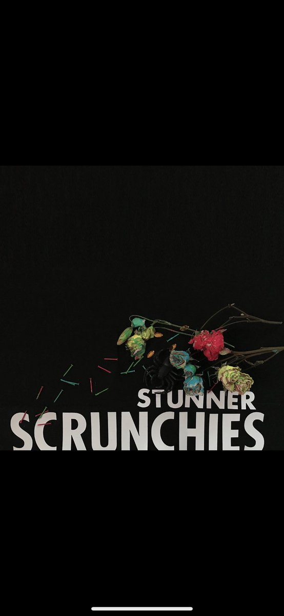 Our debut album Stunner came out 5 years ago today! 🖤💐👍💐scrunchies.bandcamp.com/album/stunner