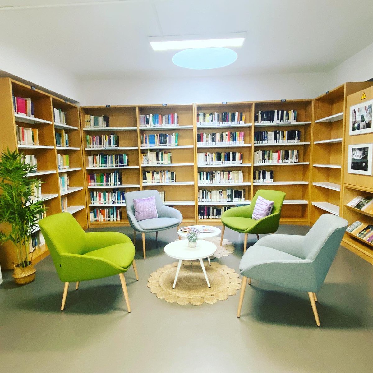 Siro López tweet media