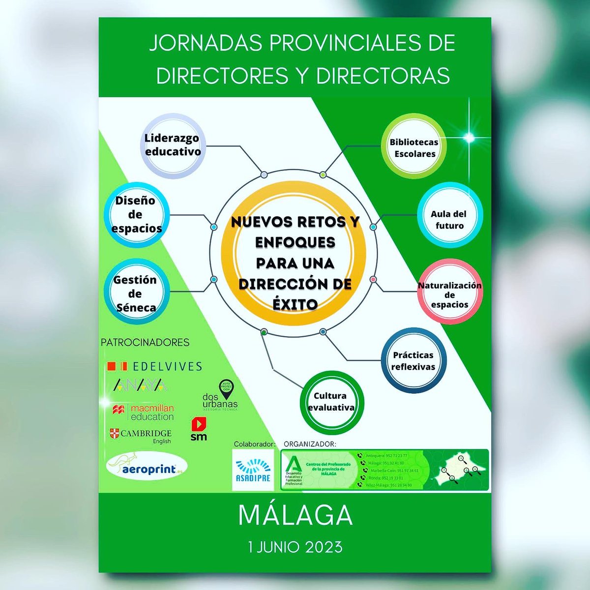 Siro López tweet media