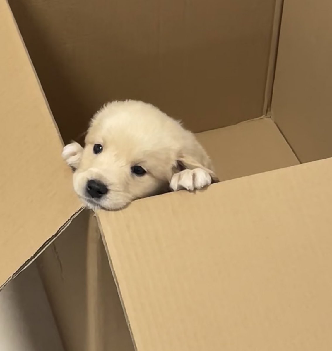 พี่ไซน์หนิ