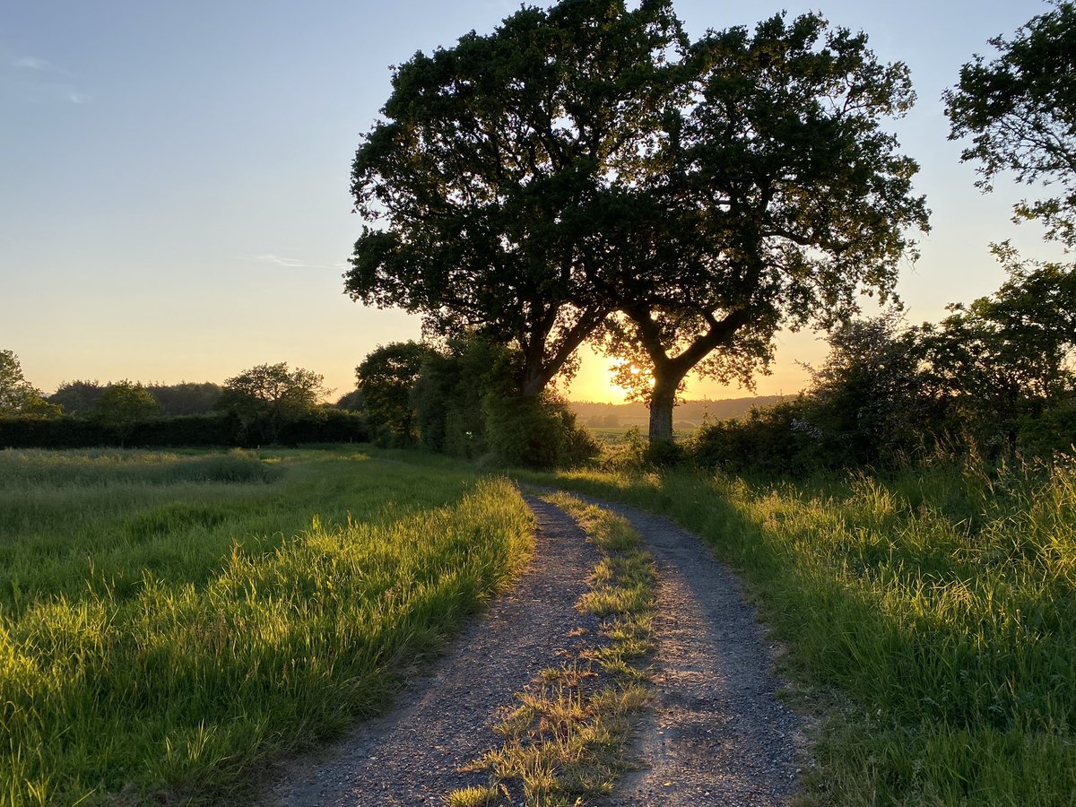 Half Term sunshine. You can’t beat it when the weather is this good at home. #halfterm #sunset