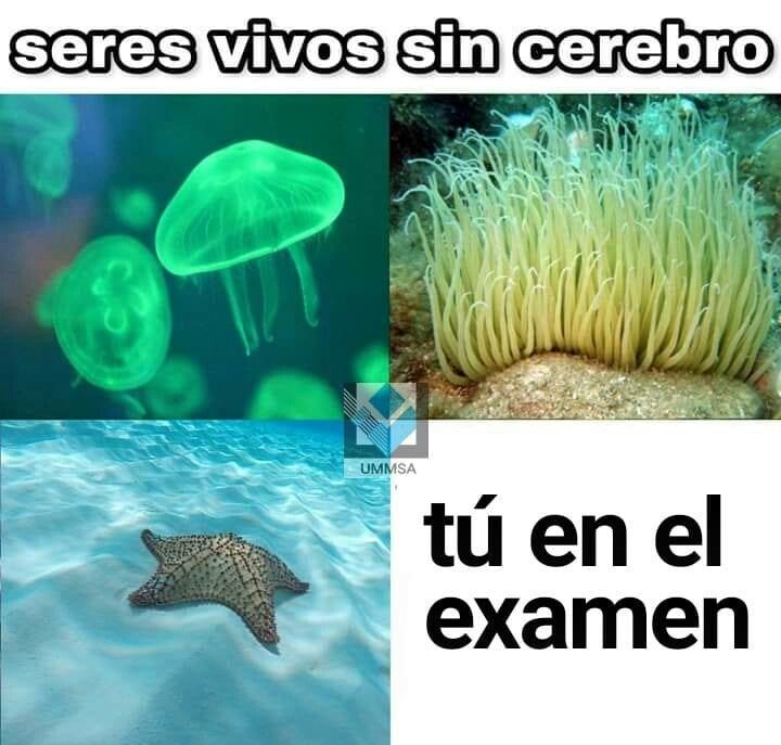 Cuadro Tv tweet media