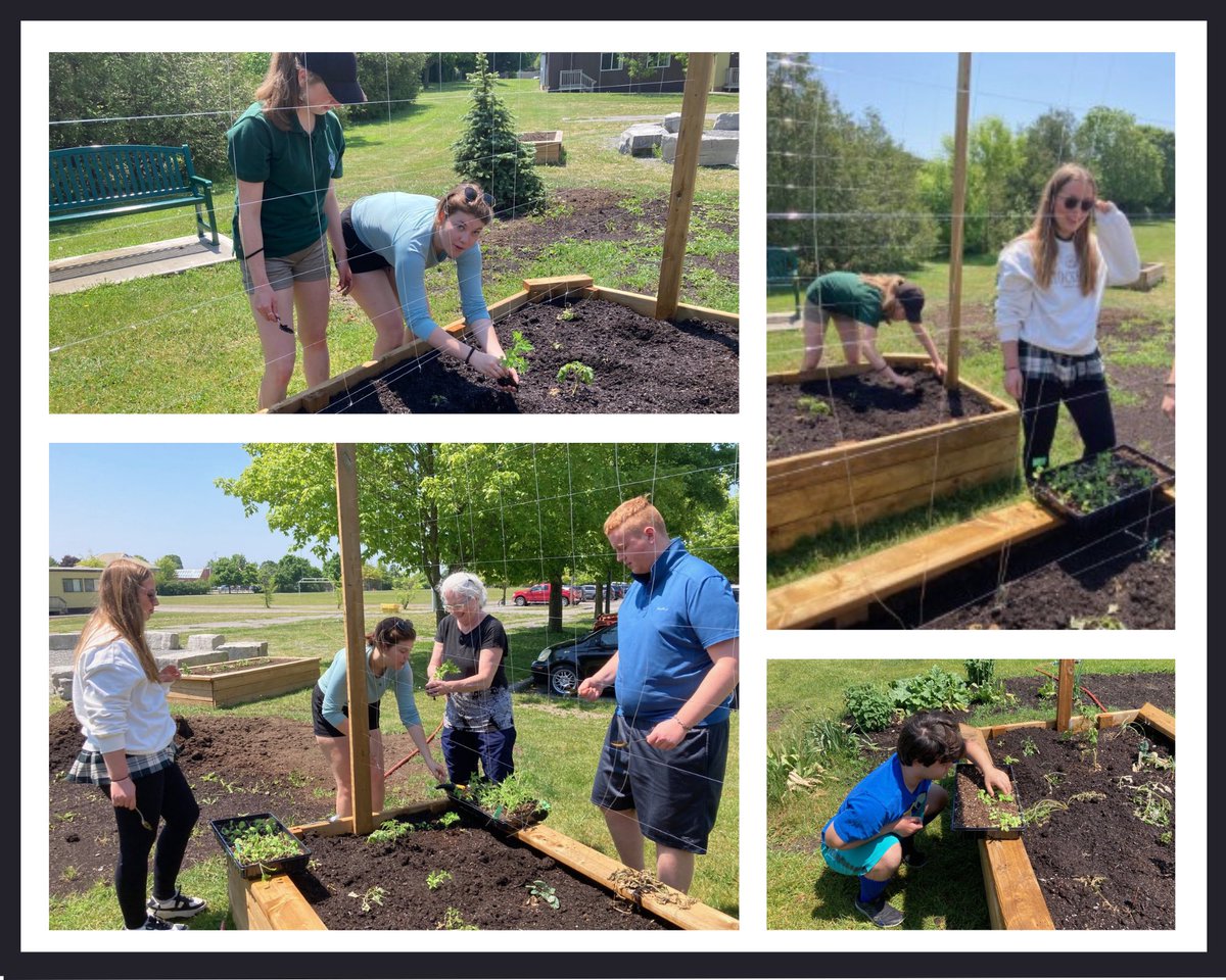 Finally got our lettuce, radishes and tomatoes into the gardens today. Huge shout-out to Mr. Weir and the Green Industries class for all of the hard work they’ve been putting into getting the garden beds fixed up. They look amazing! 🌱 #TakeTech