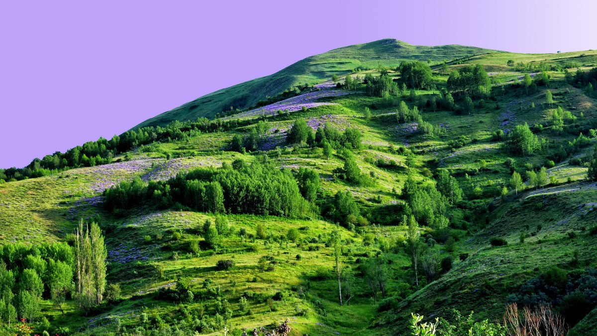 🥹🐕 Your positive attitude is contagious. Share it wherever you go.