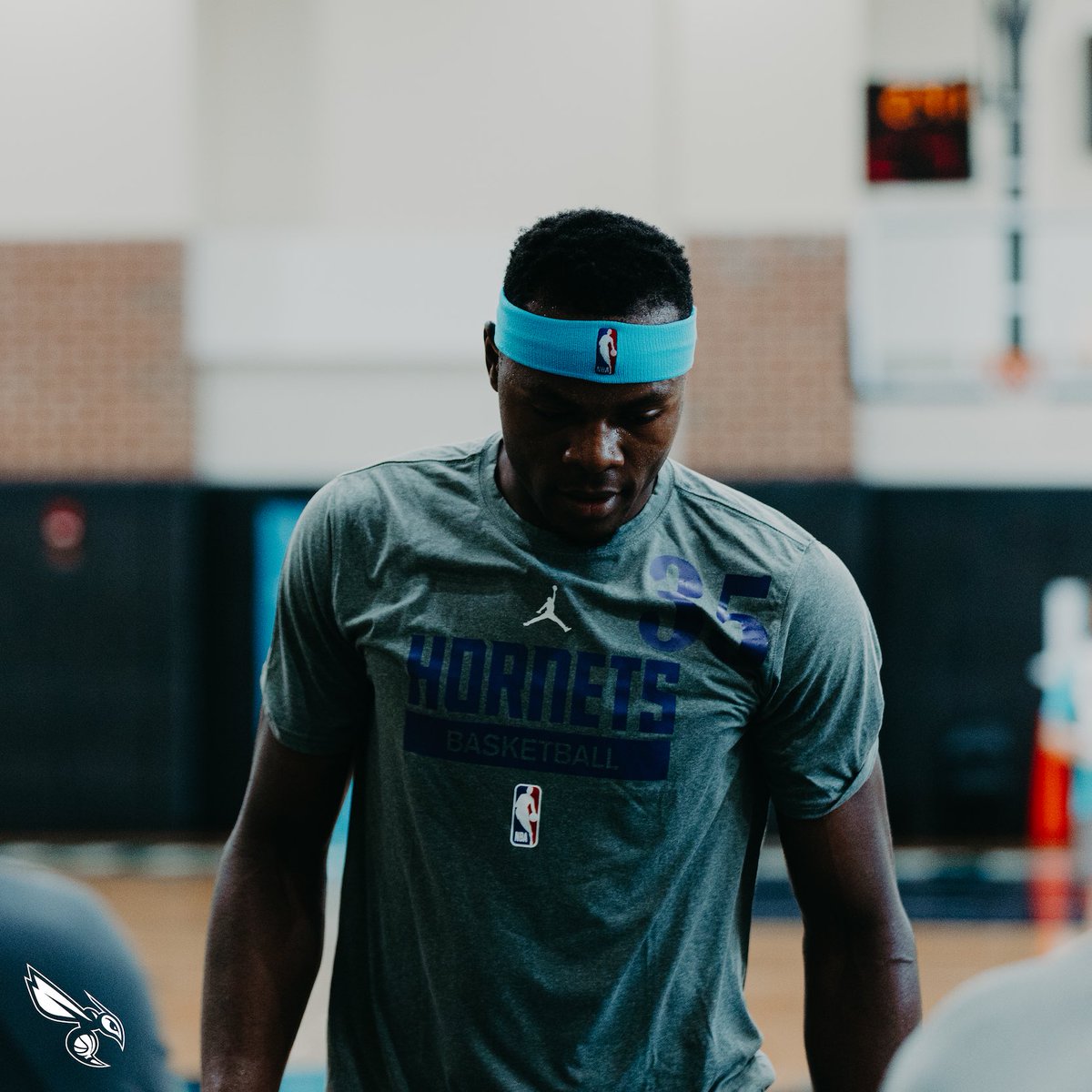 Charlotte Hornets tweet media